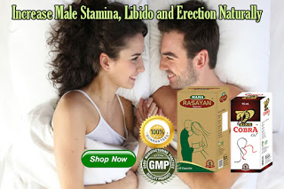 Herbal Treatment For Erection Problems 